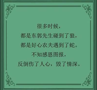 《良心无悔》全集在线免费观看，畅享精彩剧情与感人故事！