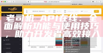 老司机汅API在线：彻底解析功能与使用技巧，助力开发者高效接入